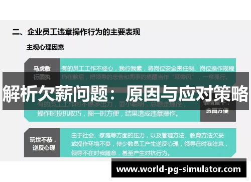 解析欠薪问题：原因与应对策略