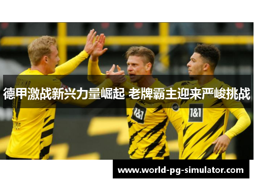 德甲激战新兴力量崛起 老牌霸主迎来严峻挑战
